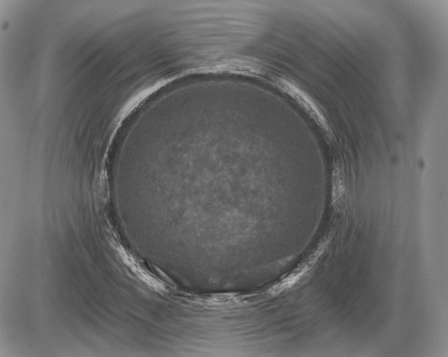 X0000085260876200703161401