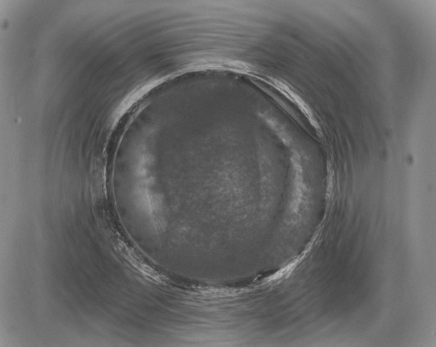 X0000085260877200703161401