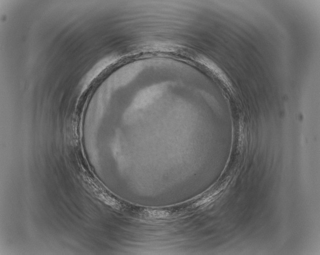 X0000085260878200703161401