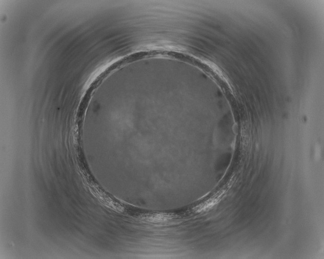 X0000085260879200703161401