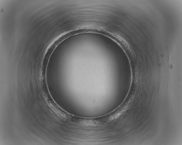 X0000085260880200703161401