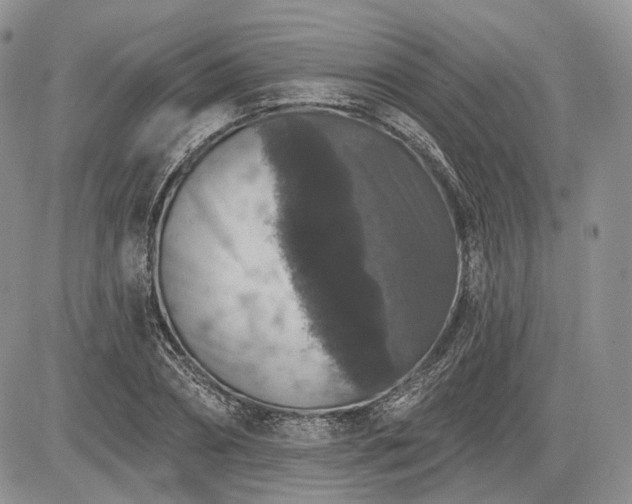 X0000085260882200703161401