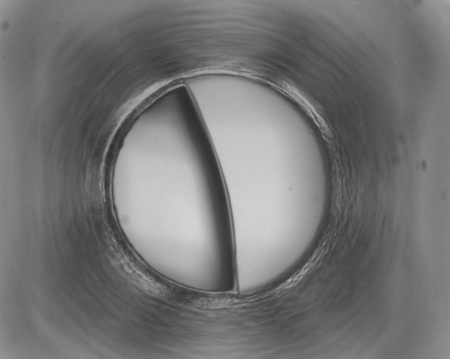 X0000085260884200703161401