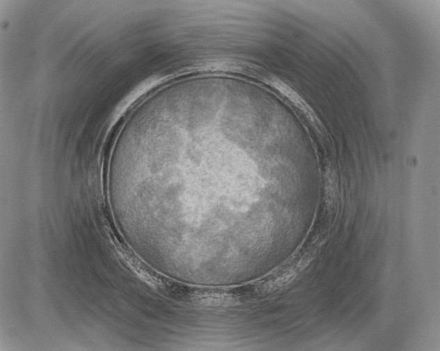 X0000085260886200703161401