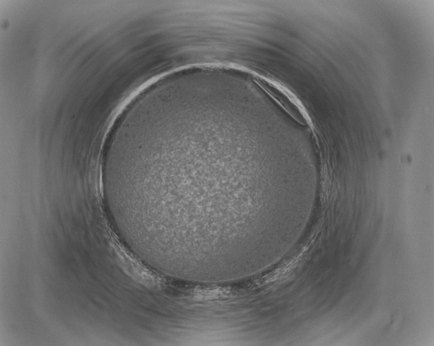 X0000085260887200703161401