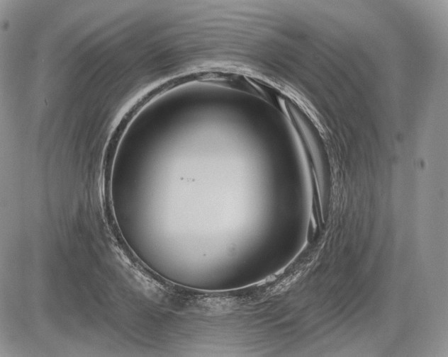 X0000085260888200703161401