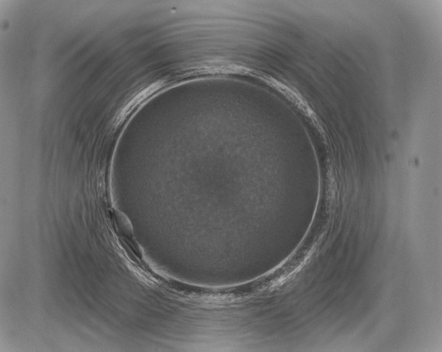 X0000085260889200703161401