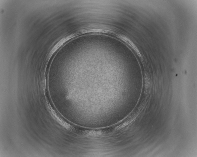 X0000085260890200703161401