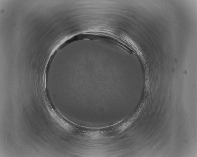 X0000085260892200703161401