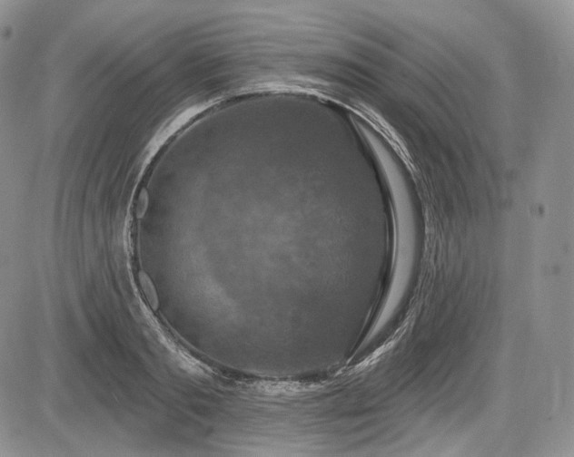 X0000085260893200703161401