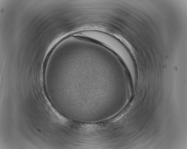 X0000085260894200703161401