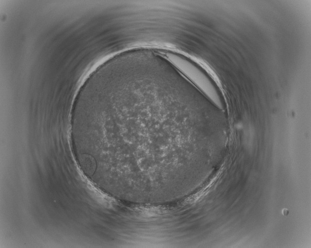 X0000085260895200703161401