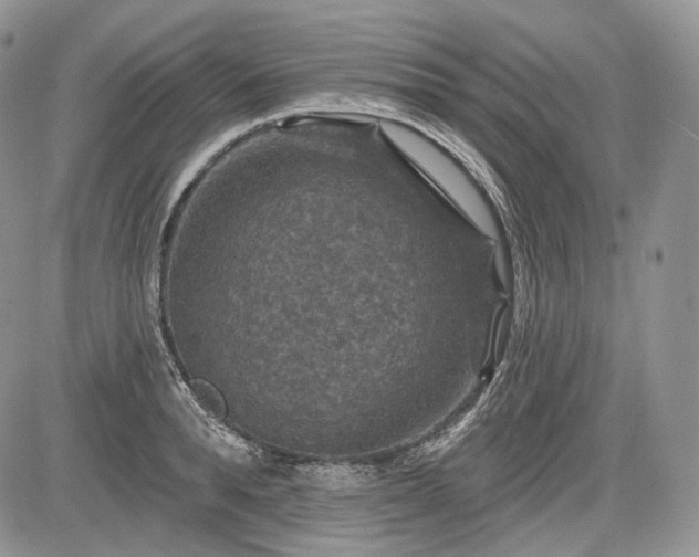 X0000085260896200703161401