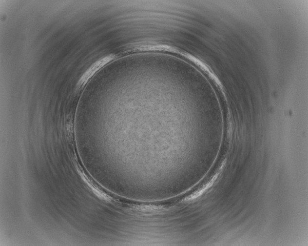 X0000085260897200703161401