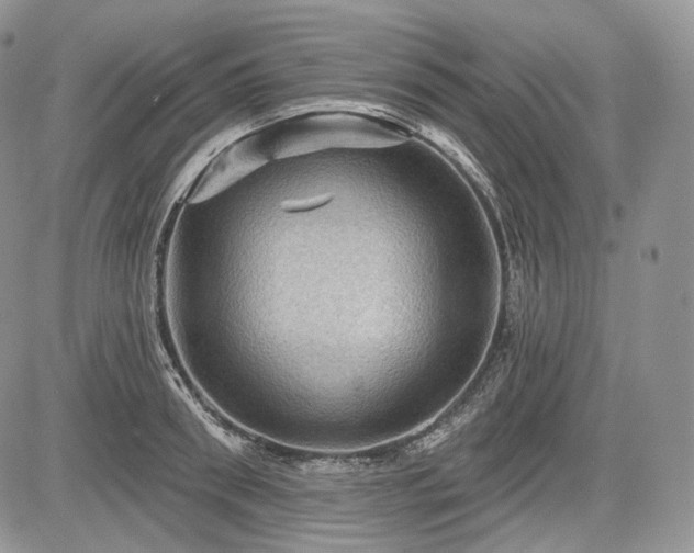 X0000085260898200703161401