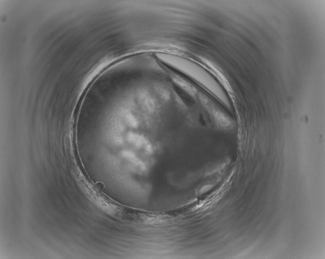 X0000085260899200703161401