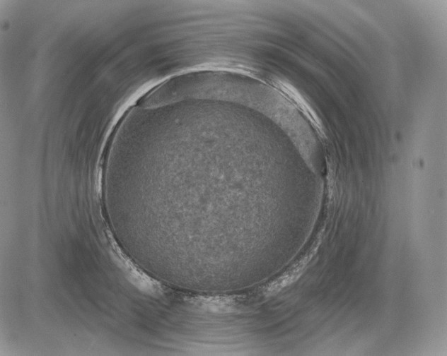 X0000085260900200703161401