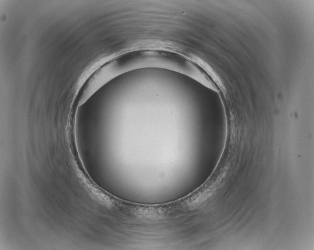 X0000085260901200703161401