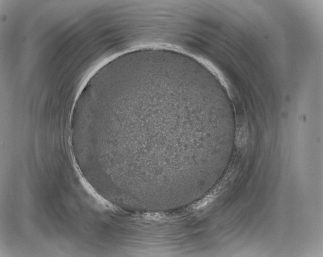 X0000085260903200703161401