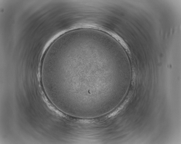 X0000085260904200703161401