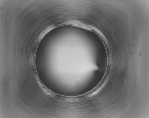 X0000085260905200703161400