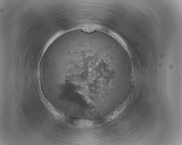 X0000085260907200703161400