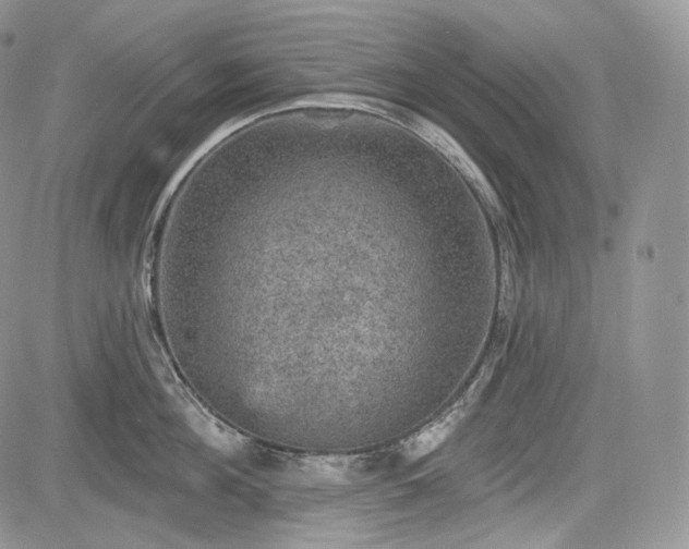 X0000085260908200703161400