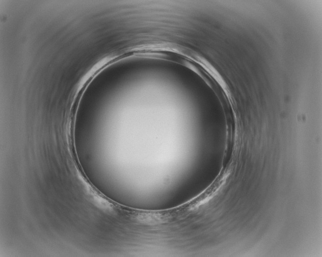 X0000085260909200703161400