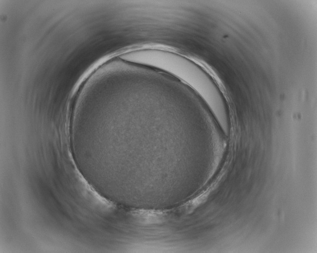 X0000085260910200703161400