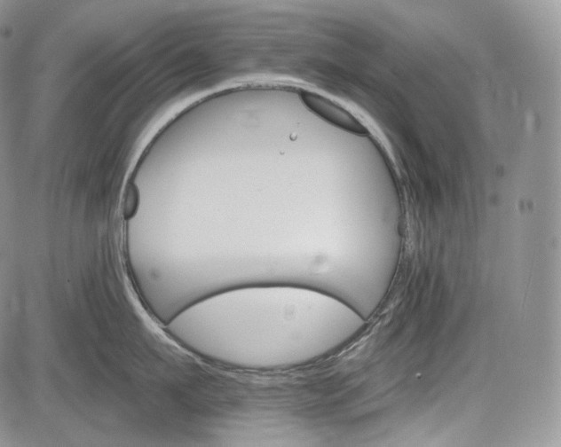 X0000085260911200703161400