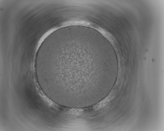 X0000085260912200703161400