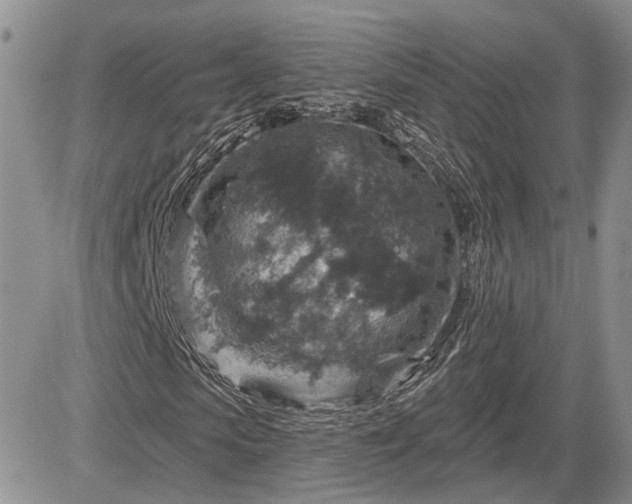 X0000085260913200703161400