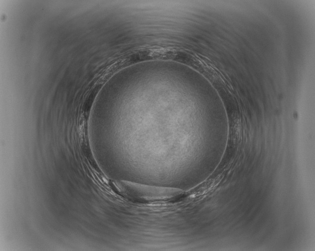 X0000085260914200703161400