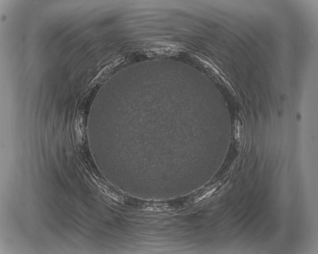 X0000085260915200703161400