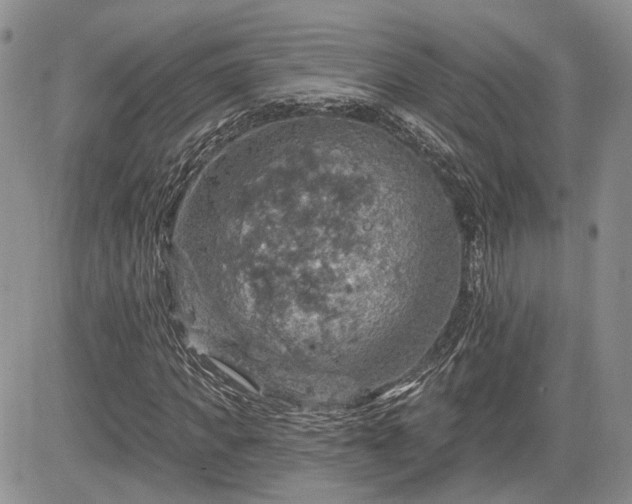 X0000085260917200703161400