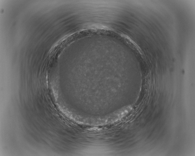 X0000085260919200703161400