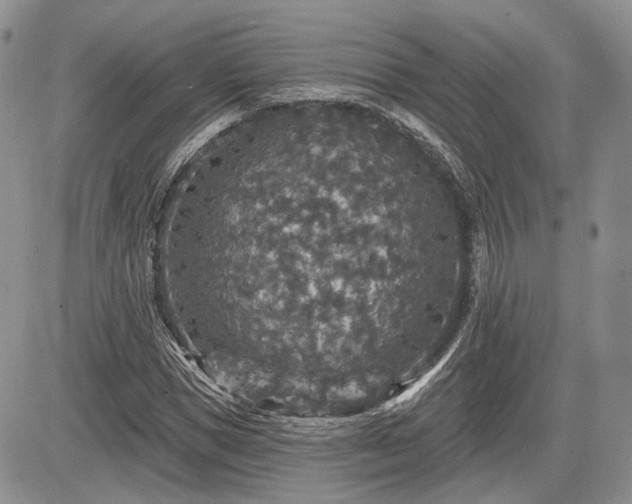 X0000085260921200703161400