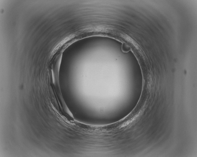 X0000085260922200703161400