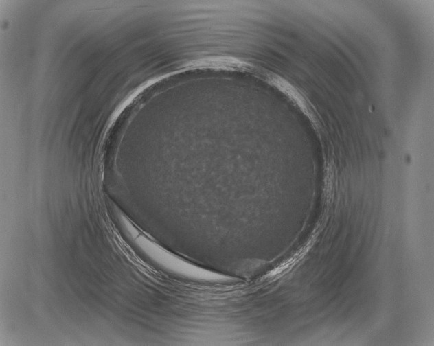 X0000085260923200703161400