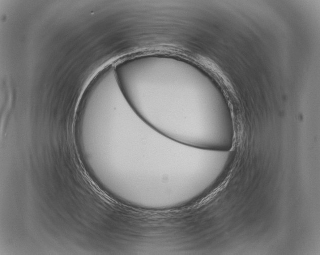 X0000085260924200703161400