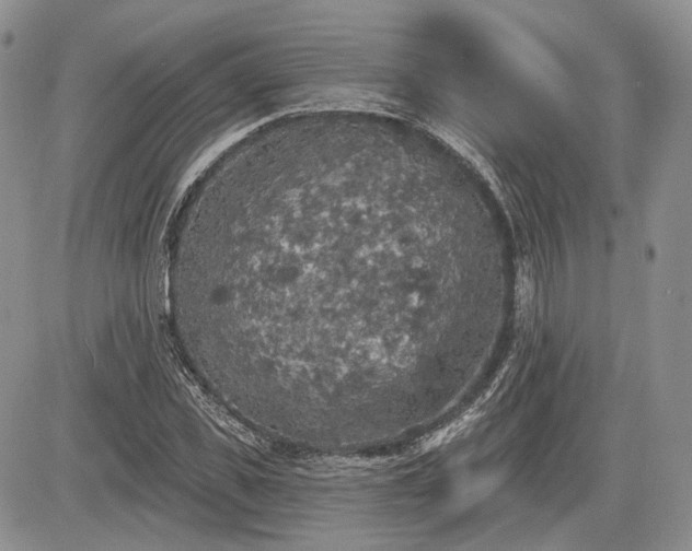 X0000085260925200703161400