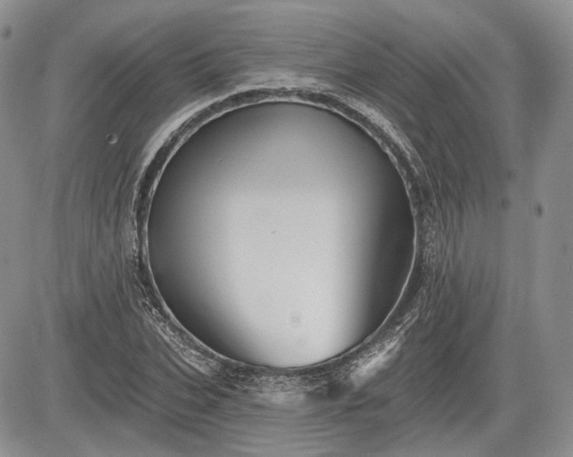 X0000085260927200703161400