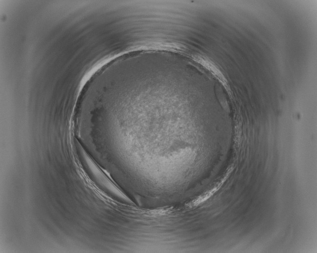 X0000085260928200703161400