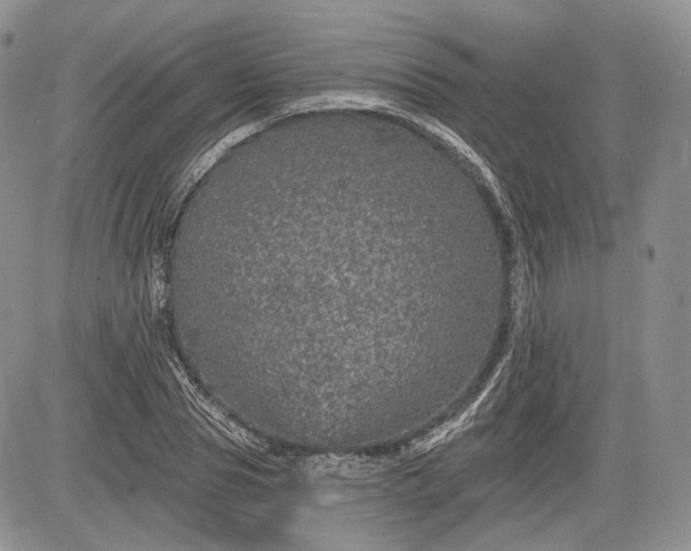 X0000085260929200703161400