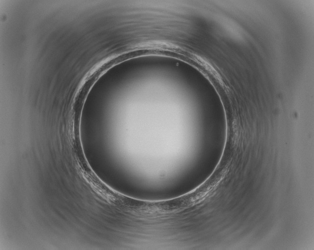 X0000085260931200703161400