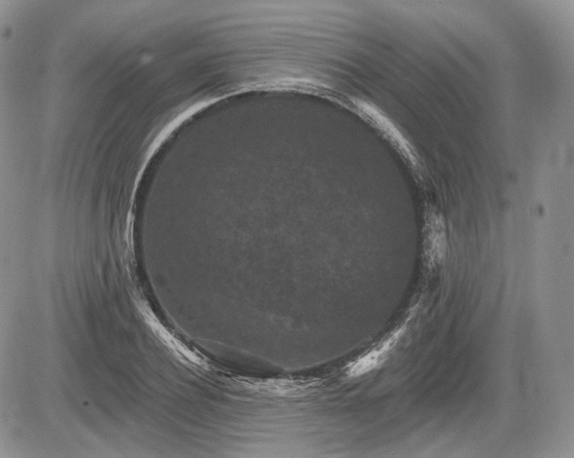 X0000085260932200703161400