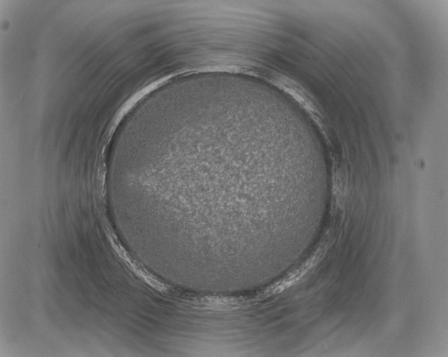 X0000085260933200703161400