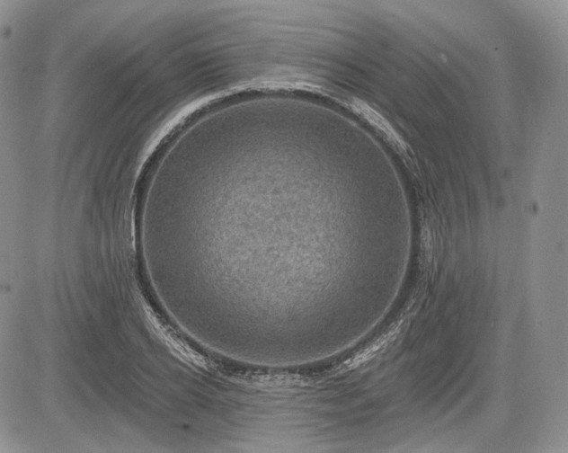 X0000085260934200703161400