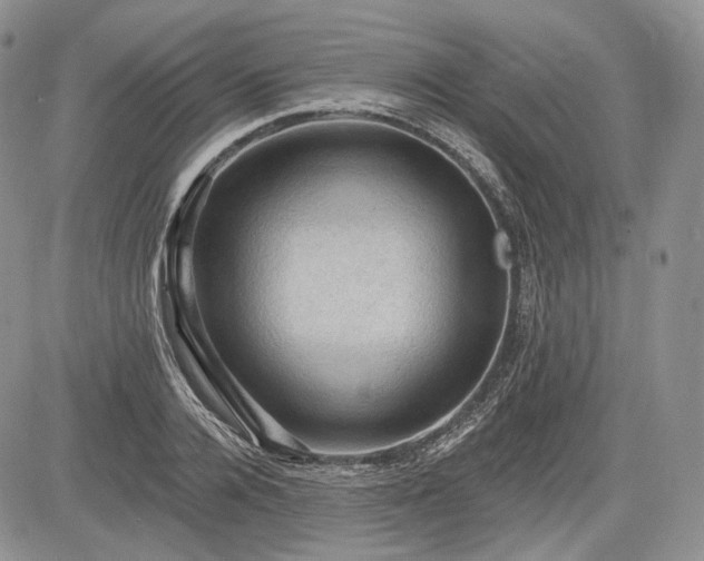 X0000085260936200703161400