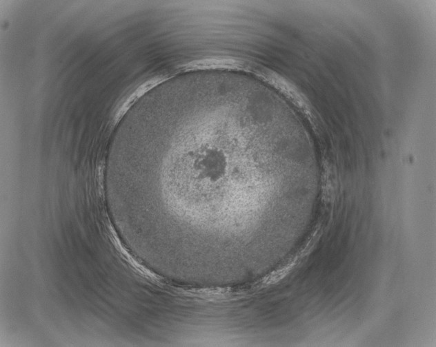 X0000085260937200703161400